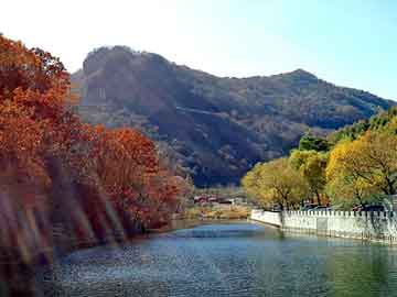 管家婆黑白马报图库，平顺seo建站